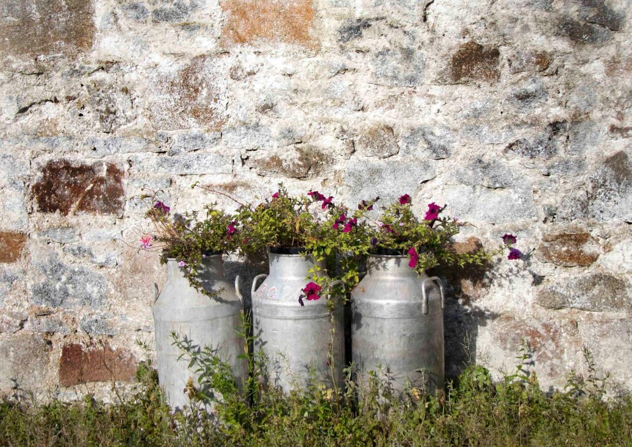 Bramble Cottage Rathfriland Eksteriør bilde